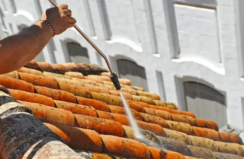 Démoussage de toiture à Remouillé